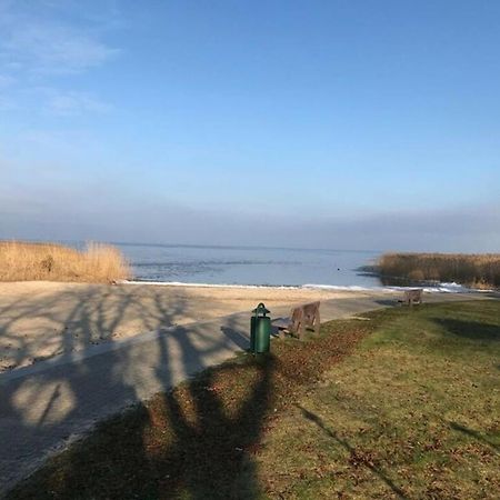 Ferien-Bungalow Im Seebad Ueckermuendeot Bellin Zewnętrze zdjęcie
